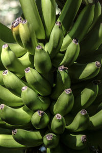 Full frame shot of fruits for sale in market