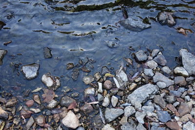 High angle view of rocks by water