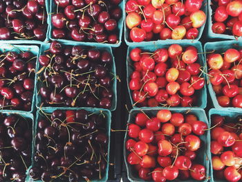 High angle view of cherries in containers for sale at market stall