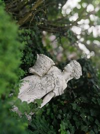 Close-up of angel statue in cemetery