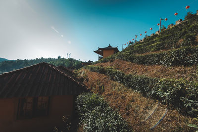 Plants growing on building by mountain against sky