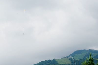 Low angle view of bird flying in sky