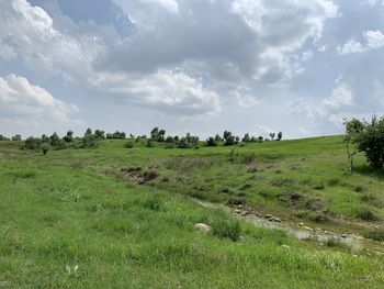 Scenic view of field against sky