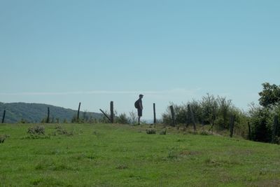People walking on grassy field