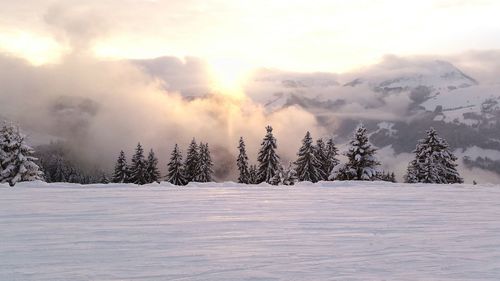 Scenic view of snowcapped landscape in foggy weather during sunset