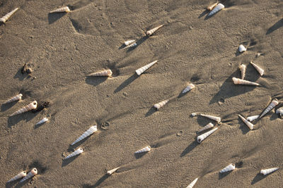 High angle view of text on sand