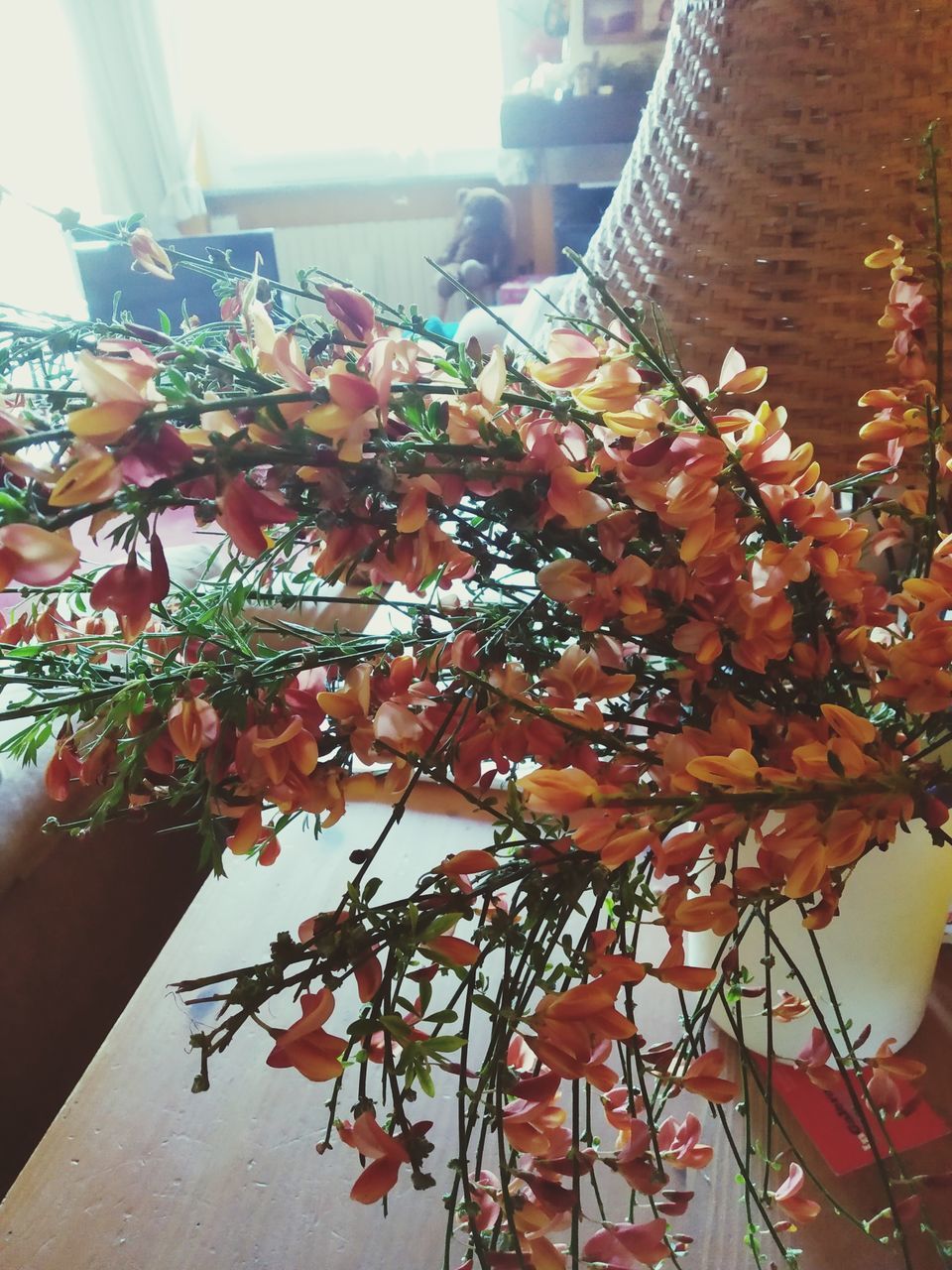 CLOSE-UP OF FLOWERING PLANTS ON POT