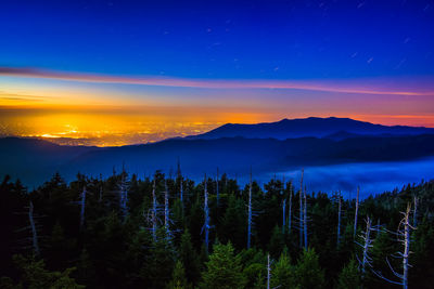 Scenic view of forest against sky at sunset