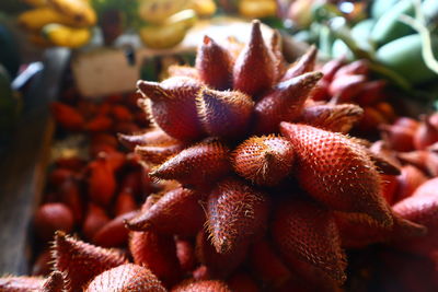 Close-up of red berries on plant