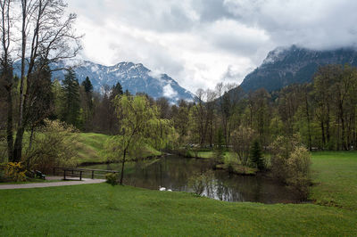 Scenic view of lake by trees against sky