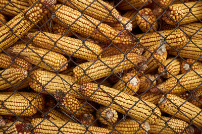 Full frame shot of chainlink fence