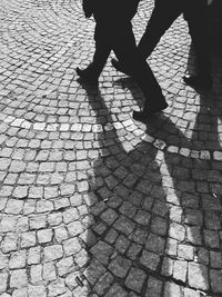 Shadow of people walking on street