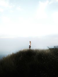 Full length of horse on landscape against sky