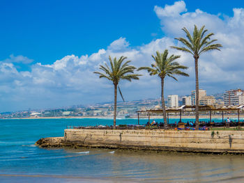 Palm trees by swimming pool against sky in city