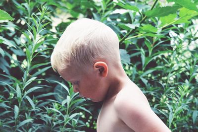 Portrait of shirtless boy with plants