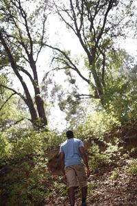 Rear view of woman standing by trees in forest