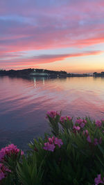 Scenic view of pink and lake against sky during sunset