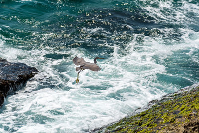 High angle view of water in sea