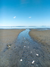 Scenic view of beach against blue sky