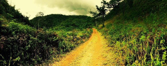 Scenic view of landscape against cloudy sky