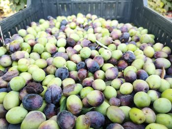 High angle view of fruits for sale in market