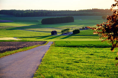 Scenic view of agricultural field