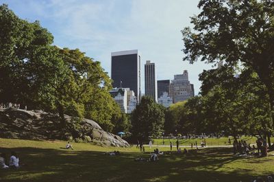 Trees in park with city in background