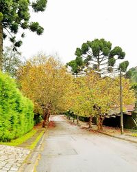 Road amidst trees against clear sky during autumn