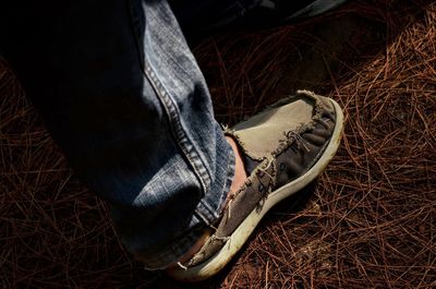 Low section of man wearing shoes