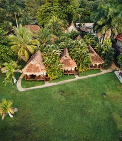 Drone view of a house in the jungle
