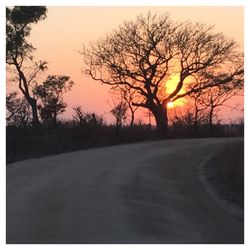 Road passing through forest