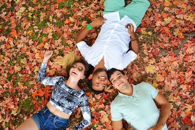 Multinational friends lying on the grass smiling and talking surrounded by autumn leaves at a park