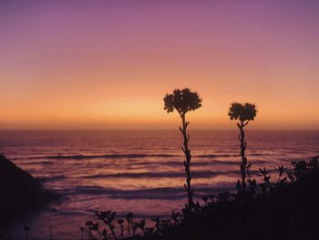 Silhouette trees by sea against sky during sunset