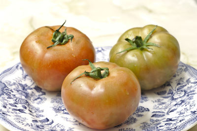 High angle view of tomatoes in plate on table
