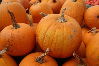 High angle view of pumpkins for sale at market stall