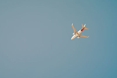 Airplane in the blue sky, toned photo