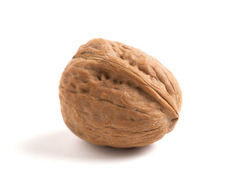 Close-up of bread against white background