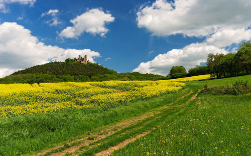 Scenic view of field against sky