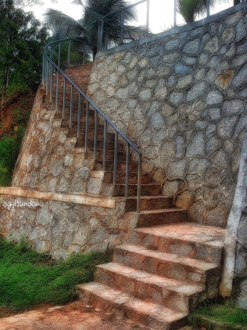 steps, built structure, architecture, steps and staircases, staircase, building exterior, tree, railing, plant, the way forward, wall - building feature, day, sunlight, outdoors, growth, no people, grass, park - man made space, stone wall, footpath