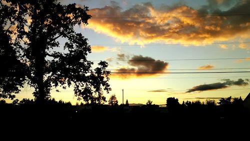 Silhouette of trees at sunset