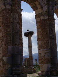 Low angle view of statue