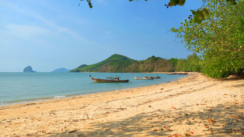 Local fishing boats are parking beaside island beach in thailand.