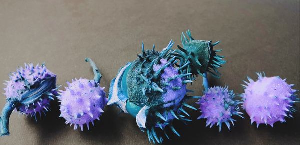 Close-up of purple flowers on table