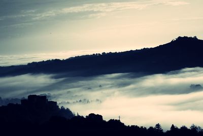 Silhouette trees against sky during sunset