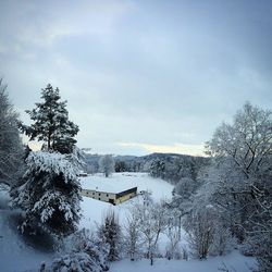 Scenic view of snow covered landscape