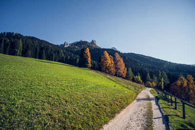 Scenic view of landscape against clear sky