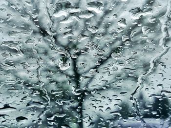 Close-up of water drops on ground