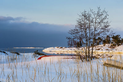 Scenic view of lake against sky during winter