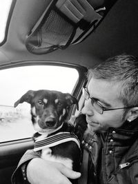 Portrait of dog sitting in car