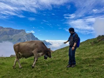 Full length of man looking at cow on grassy mountain against blue sky